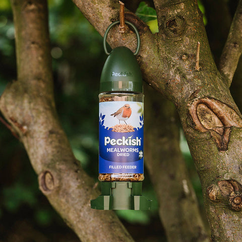 Peckish Mealworm Filled Wild Bird Feeder – 90g Ready-to-Hang Feeder